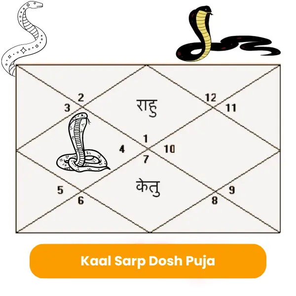 काल सर्प दोष पूजा उज्जैन - पंडित विवेक शास्त्री