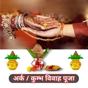 कुंभ विवाह उज्जैन - पंडित विवेक शास्त्री